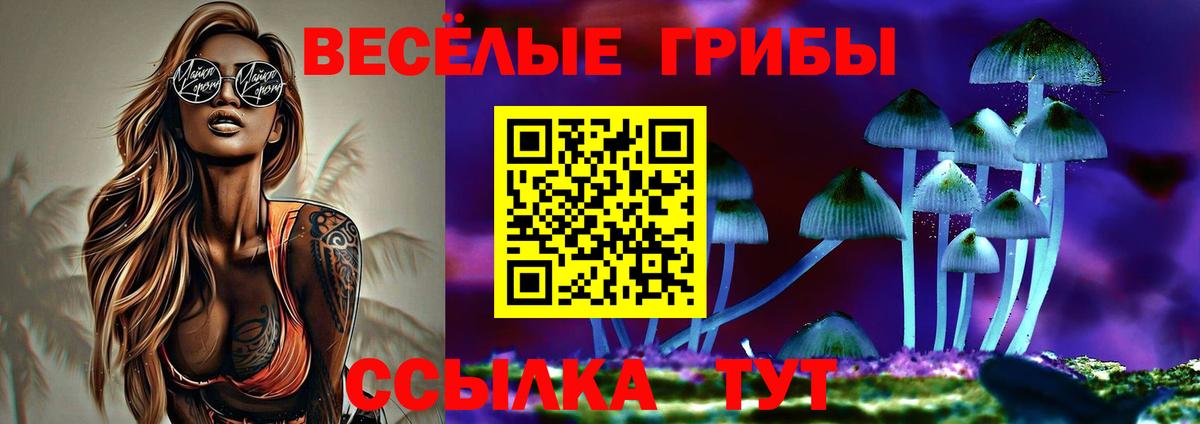 Обнинск  Псилоцибиновые грибы Psilocybine cubensis  Вход с VPN 